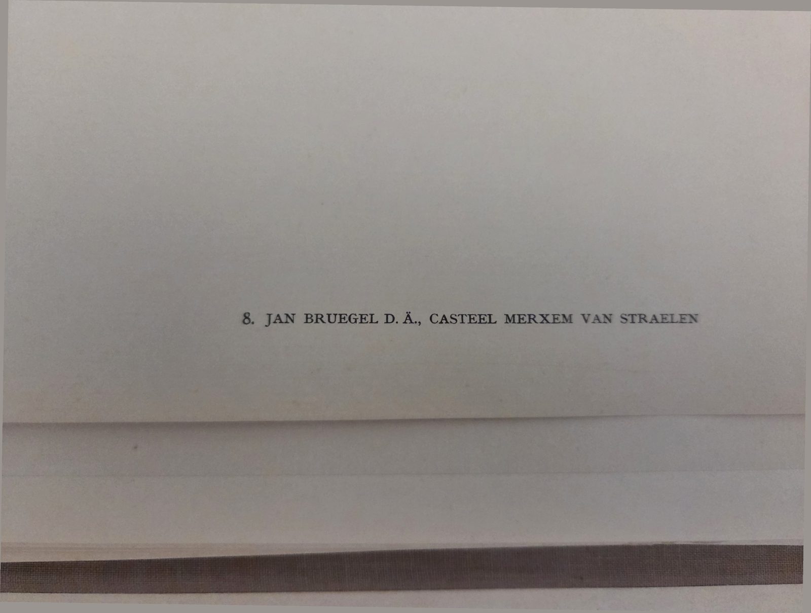 Printed caption, this copy — plate 8