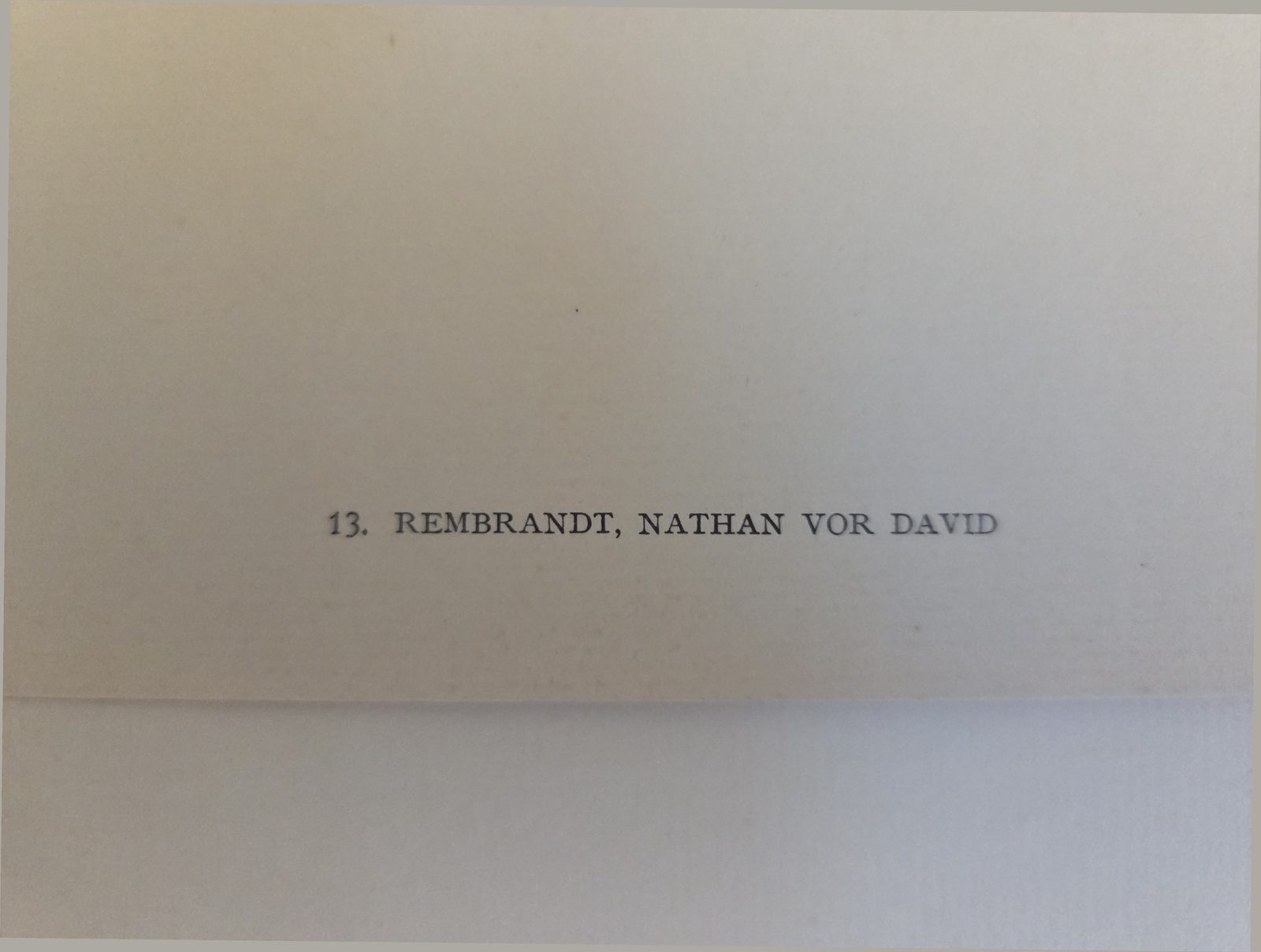 Printed caption, this copy — plate 13