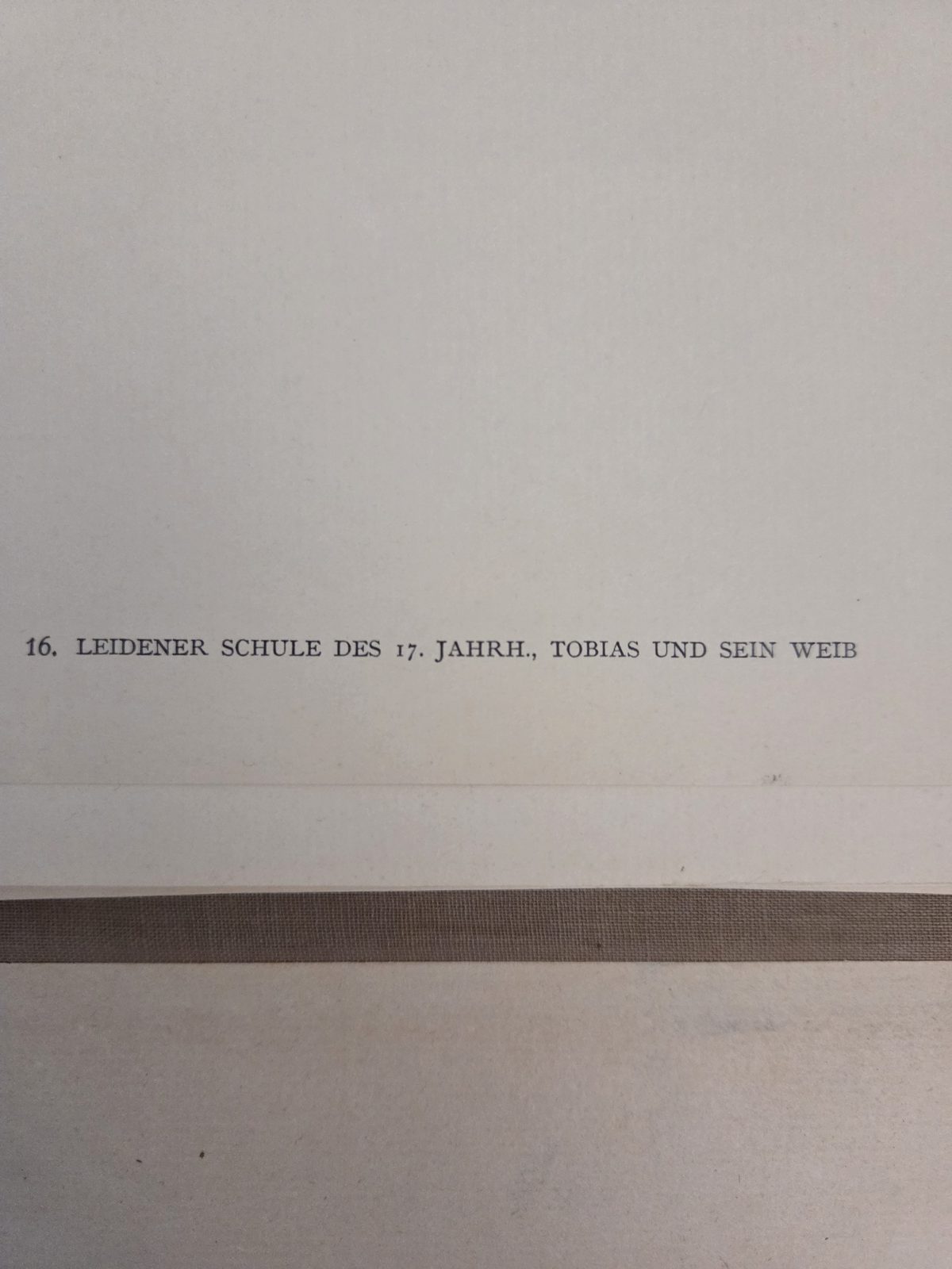 Printed caption, this copy — plate 16