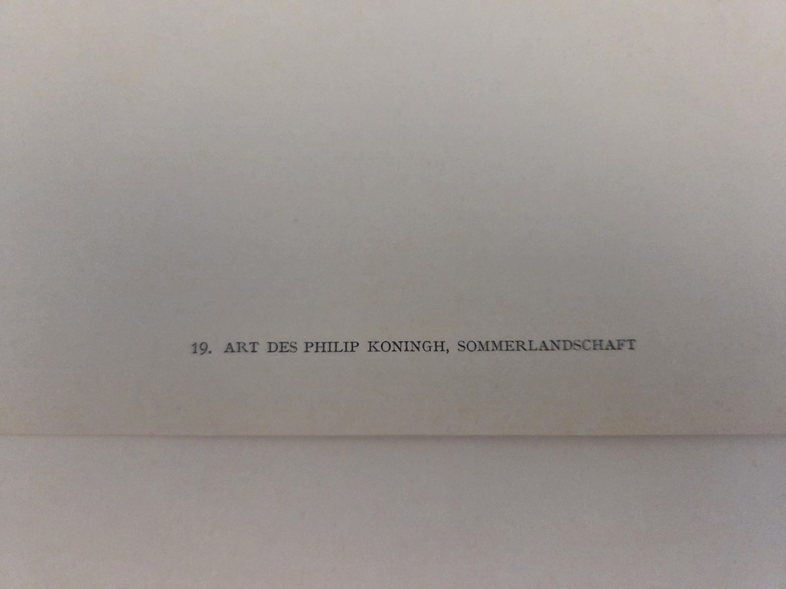 Printed caption, this copy — plate 19