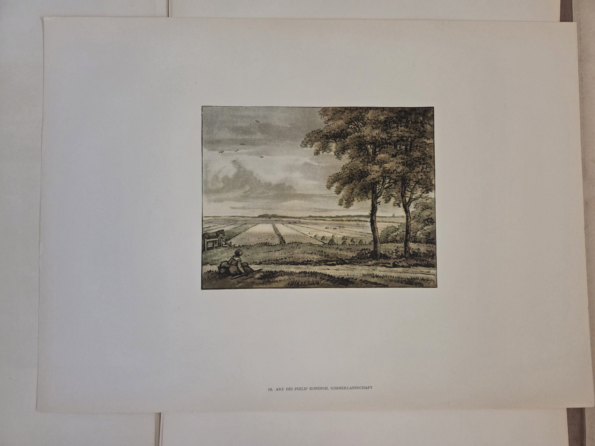 Full sheet, this copy — plate 19