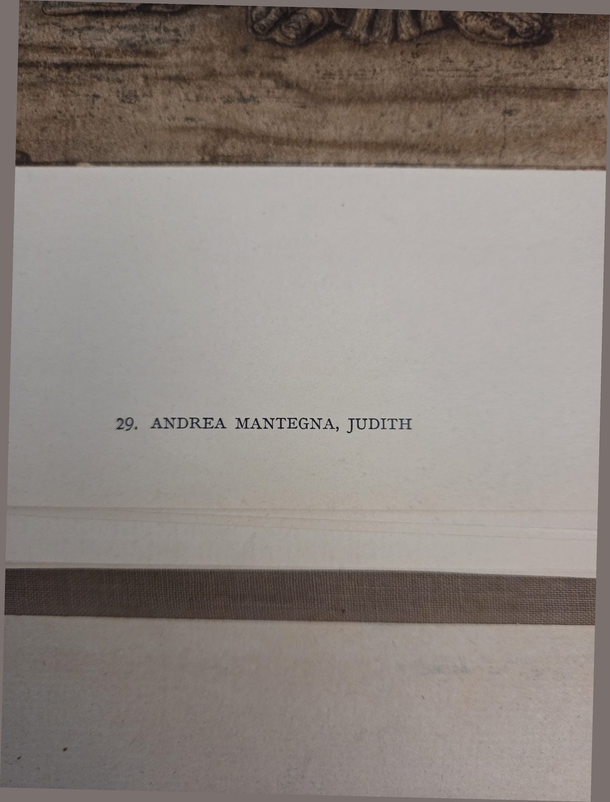Printed caption, this copy — plate 29