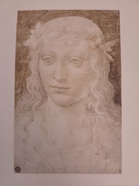 Head of a Girl Wearing a Wreath, Giovanni Antonio Boltraffio