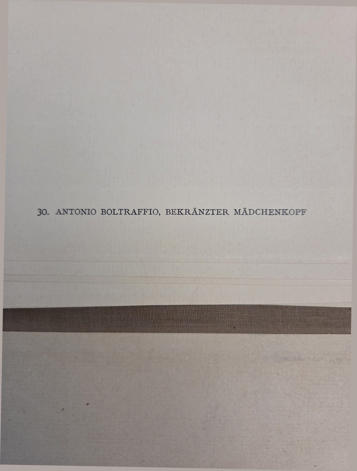 Printed caption, this copy — plate 30