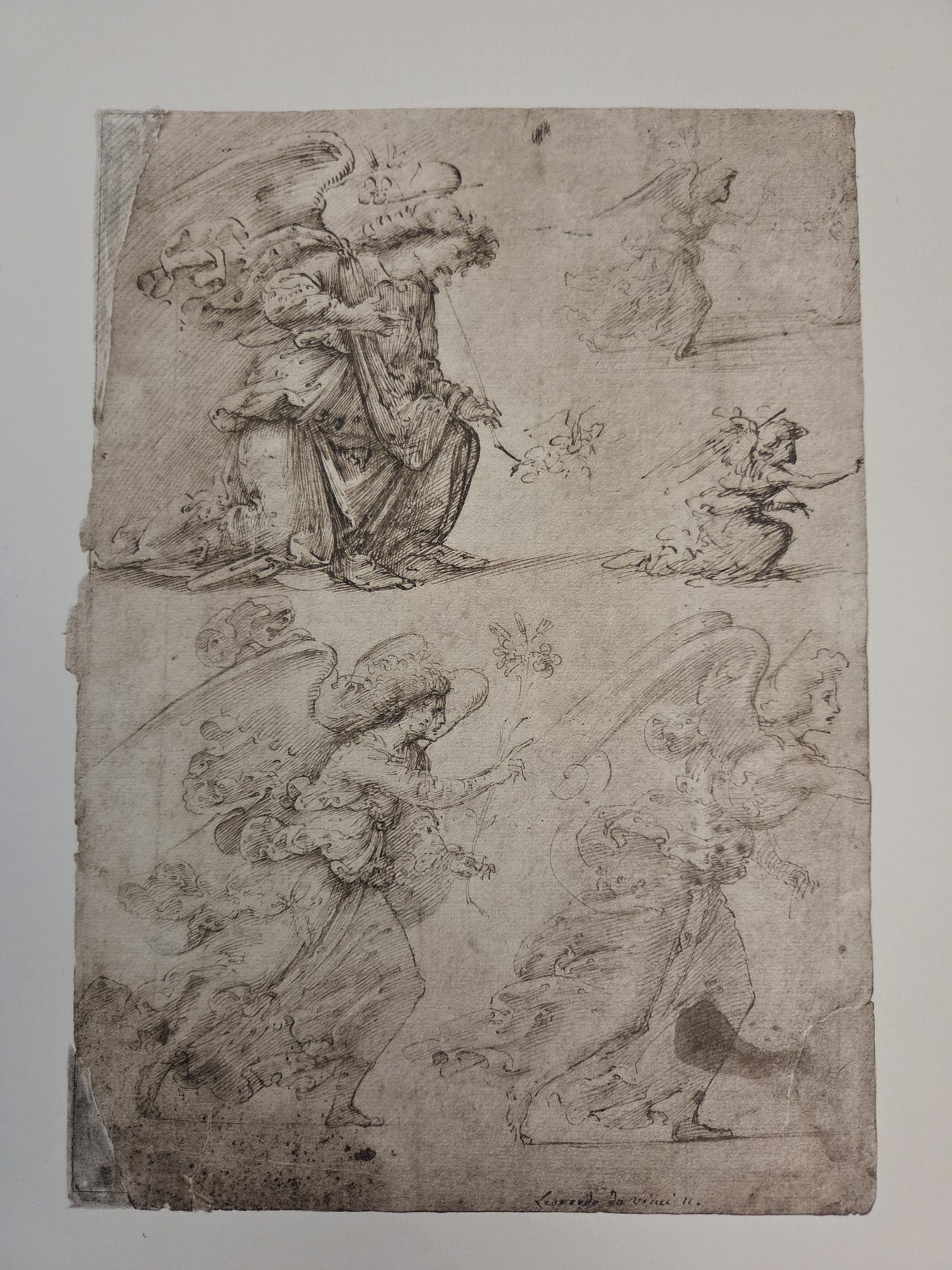 Angel of the Annunciation, Filippino Lippi (reproduction in Becker 1922)