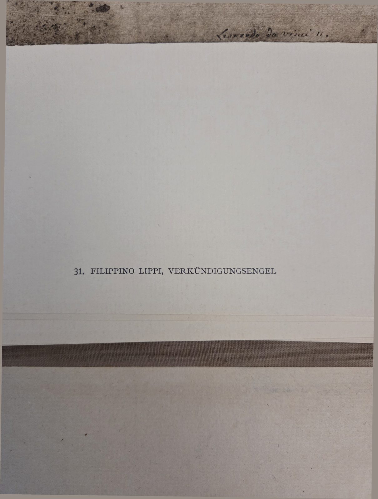 Printed caption, this copy — plate 31