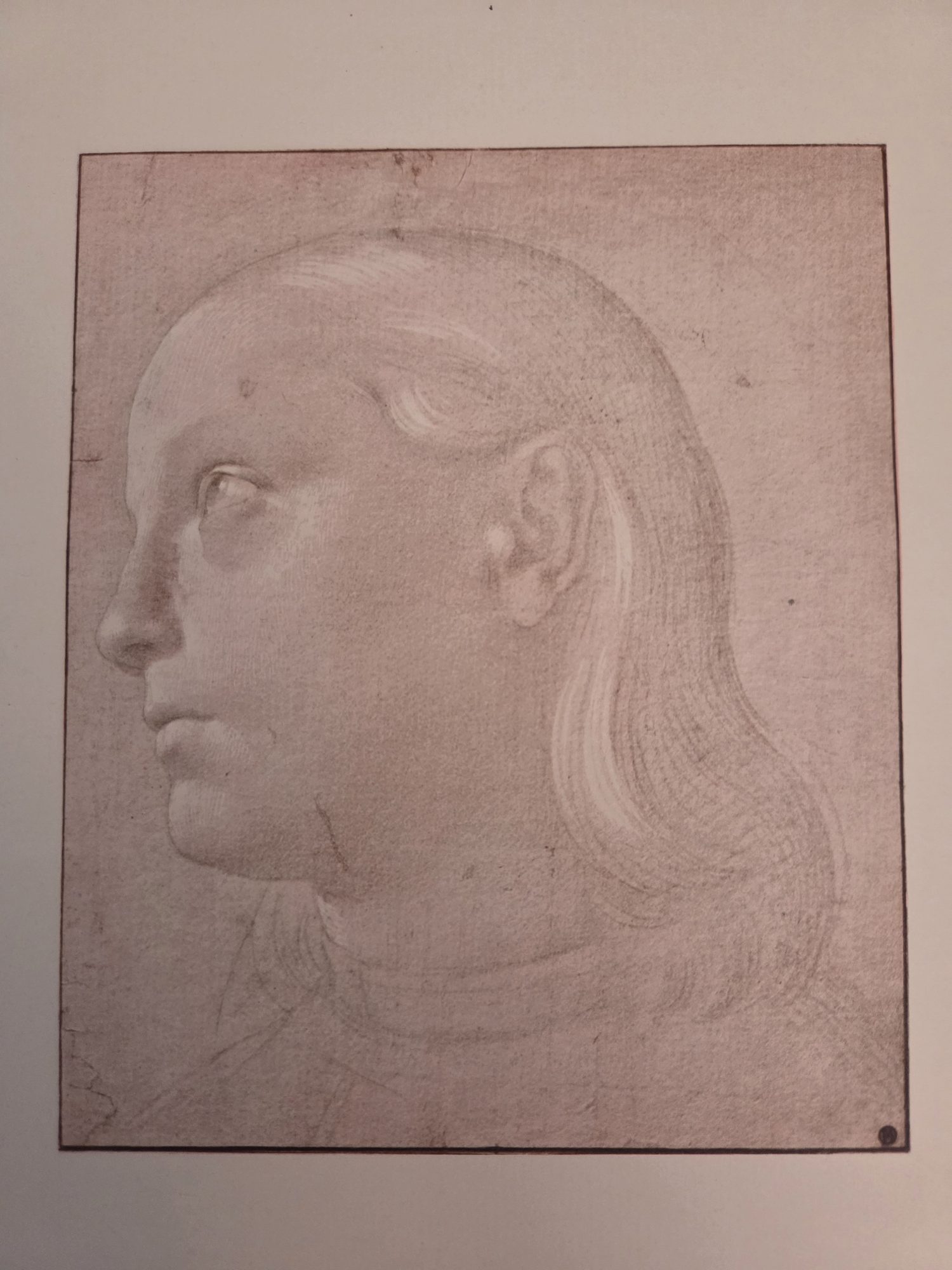 Head of an Angel, Lorenzo di Credi (reproduction in Becker 1922)