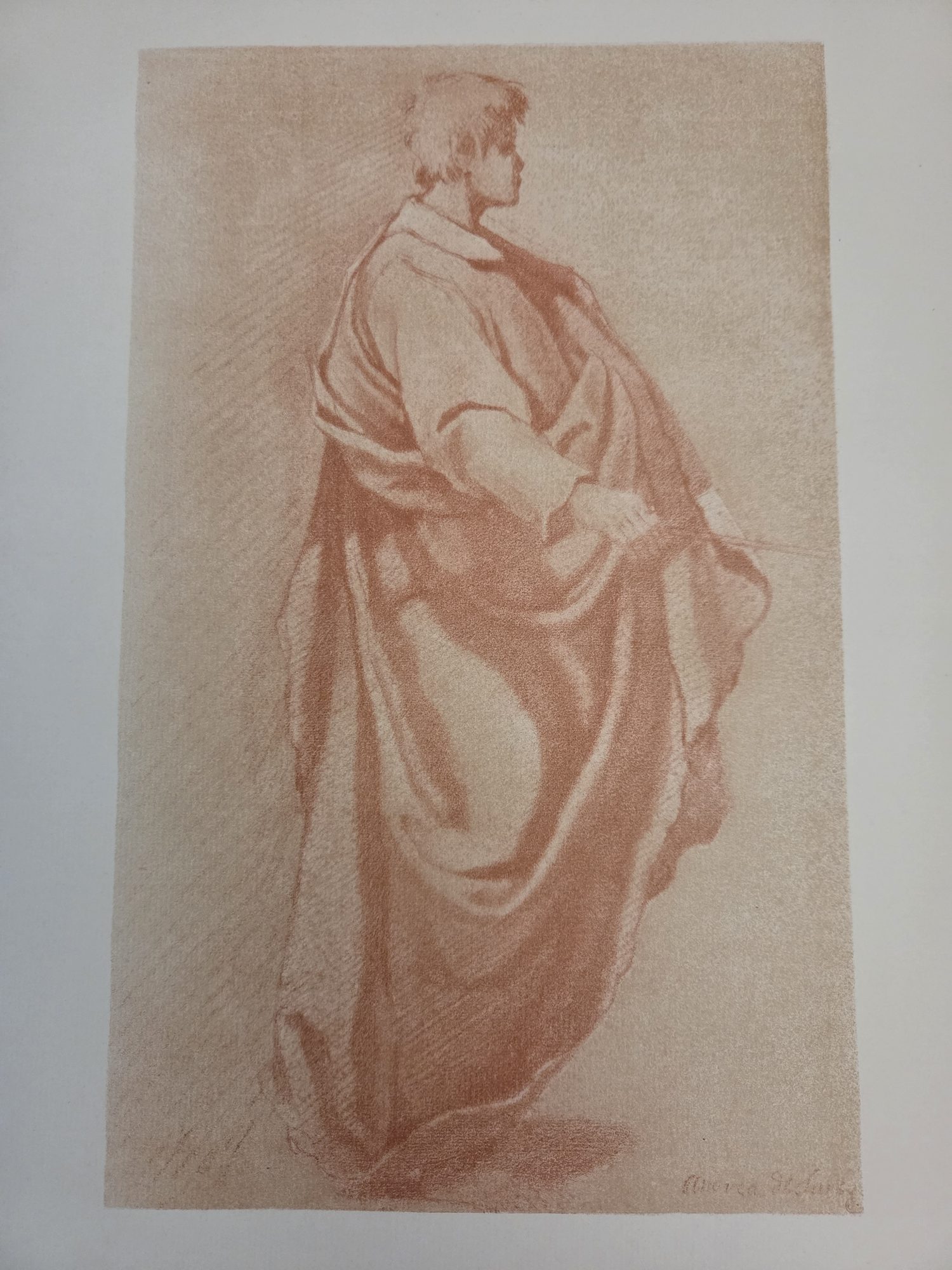 Young Man in a Cloak, Andrea del Sarto (?) (reproduction in Becker 1922)