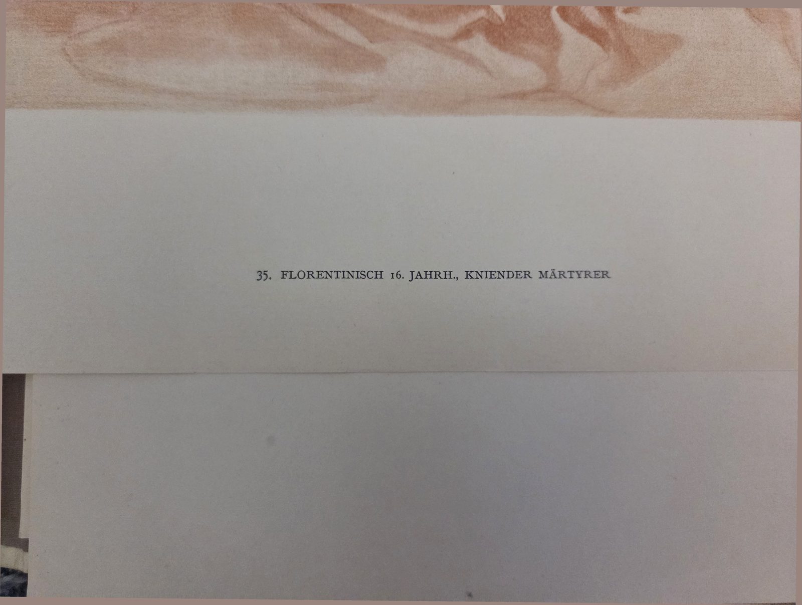 Printed caption, this copy — plate 35