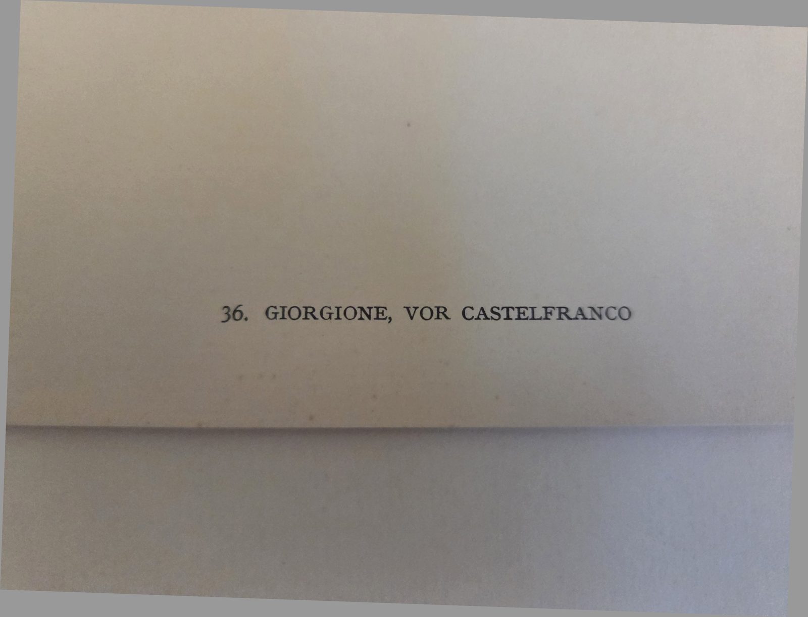 Printed caption, this copy — plate 36