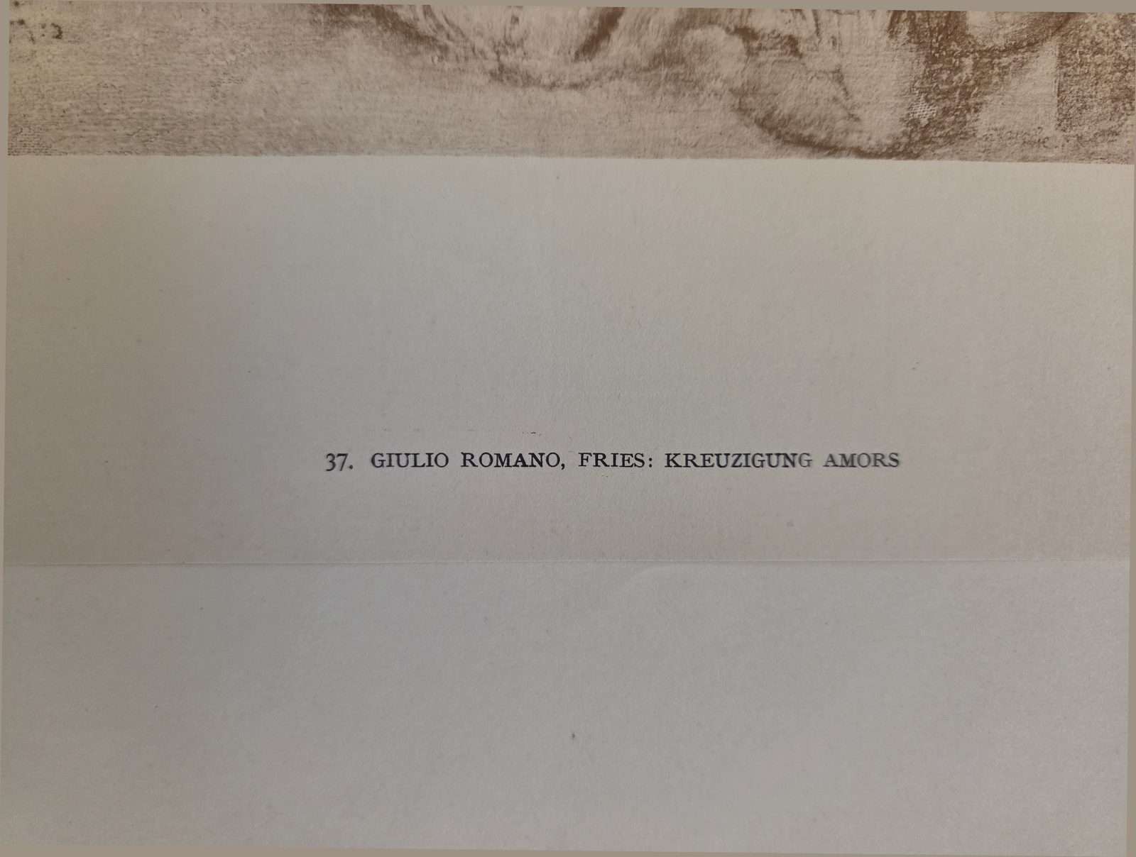 Printed caption, this copy — plate 37