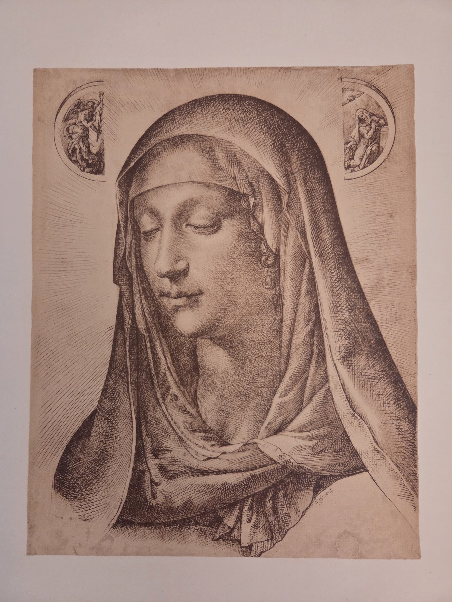 Head of the Madonna, Bartolomeo Passarotti (reproduction in Becker 1922)