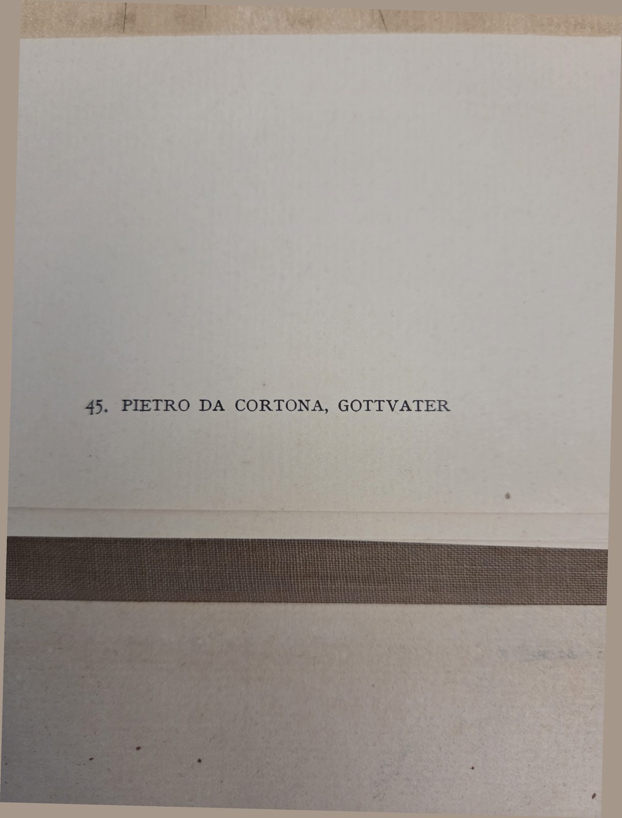 Printed caption, this copy — plate 45